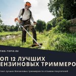 12 лучших бензиновых триммеров