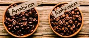 Arabica and Robusta