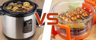 What is better, a multicooker or an air fryer: what are the differences, pros and cons