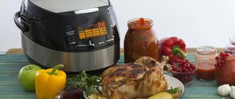 Что такое функция мультиповар в мультиварках, как пользоваться