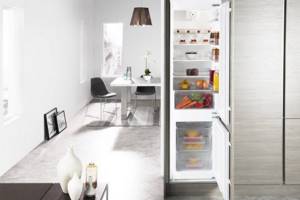 Дизайн кухни и холодильника.