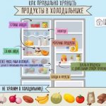 How to properly store food in the refrigerator