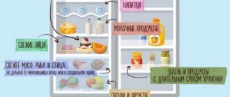 How to properly store food in the refrigerator