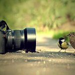 How to choose a camera