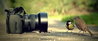 Как выбрать фотоаппарат