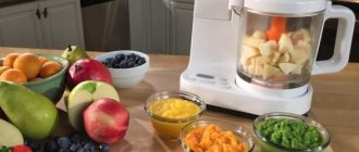Какой блендер лучше выбрать для приготовления детского питания