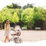 multifunctional stroller