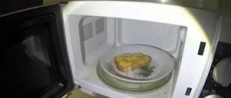 Why did the plate burst in the microwave?
