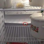 Почему в холодильнике накапливается вода под ящиком для овощей