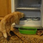 Подтекает холодильник: как выявить причину, почему это происходит