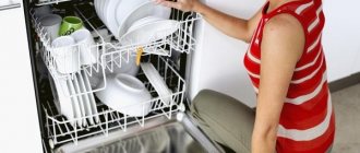 Dishwasher with dishes