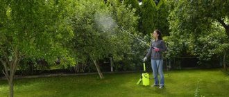 Spray adjustment helps to adapt to any type of plant