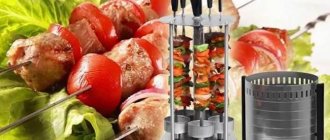 Рейтинг лучших электрошашлычниц для дома