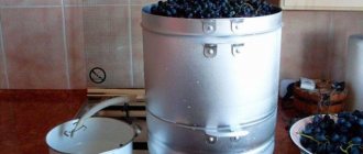 Соковарка или соковыжималка: что лучше, чем отличаются, отзывы