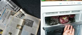 Ways to remove unpleasant odors from the freezer